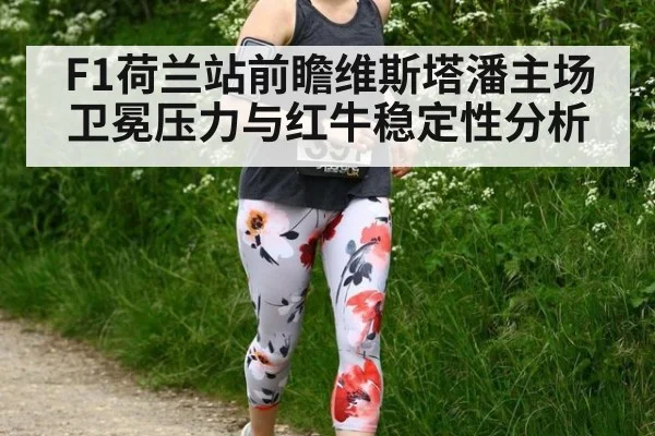 F1荷兰站前瞻维斯塔潘主场卫冕压力与红牛稳定性分析